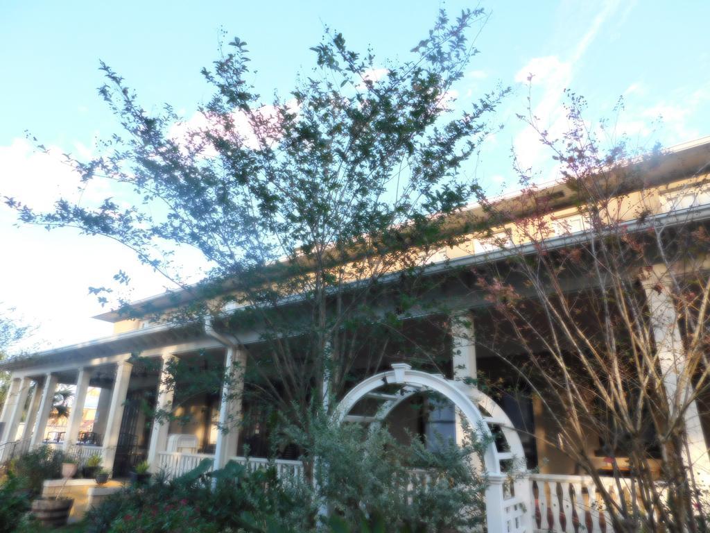 Cassadaga Hotel And Spiritual Center Εξωτερικό φωτογραφία